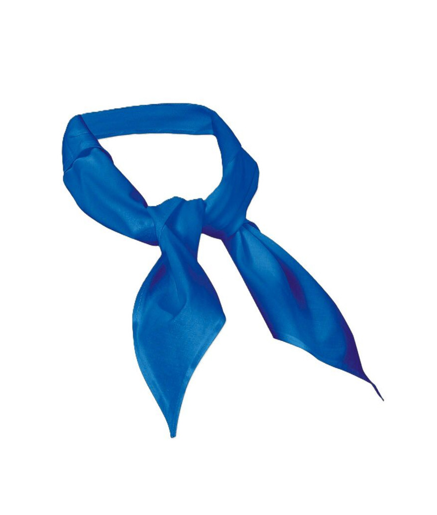 Lot 3 tour de cou bandana Bleu Cuisine - Toma