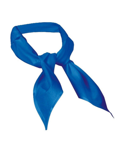 Lot 3 tour de cou bandana Bleu Cuisine - Toma