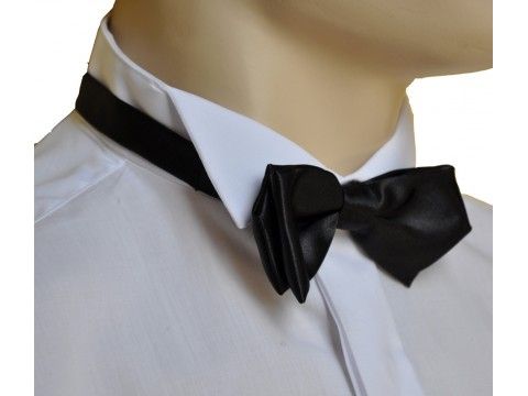 bow tie, choker, necktie